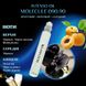 Масляні парфуми Intenso Oil MОLECULE 090.90 Унісекс 10 ml