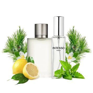 Парфуми Intenso Parfum ACQUA DI GIO Чоловічі 20ml