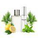 Парфуми Intenso Parfum ACQUA DI GIO Чоловічі 20ml