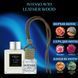 Автопарфум Intenso Avto LEATHER WOOD