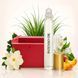 Масляні парфуми Intenso Oil RUSH Жіночі 10 ml