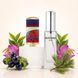 Парфуми Intenso Parfum ONE UMBRELLA FOR TWO Унісекс 35ml