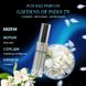 Духи Intenso Parfum GAFDENS OF INDIA 79 Унисекс 35ml