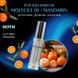 Парфуми Intenso Parfum MOLECILE 01 + MANDARIN Унісекс 35ml