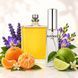 Духи Intenso Parfum MOLECILE 01 + MANDARIN Унисекс 35ml