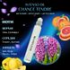 Масляні парфуми Intenso Oil CHANCE TENDRE Жіночі 10 ml