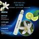 Масляні парфуми Intenso Oil MY WAY Жіночі 10 ml