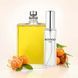 Парфуми Intenso Parfum MOLECILE 01 + MANDARIN Унісекс 20ml