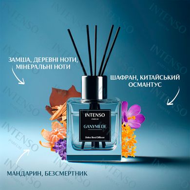 Аромадиaфузор Intenso Parfum GANYMEDE 100ml