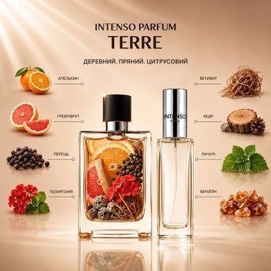 Парфуми Intenso Parfum TERRE Чоловічі 50ml