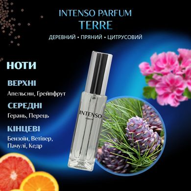 Парфуми Intenso Parfum TERRE Чоловічі 33ml