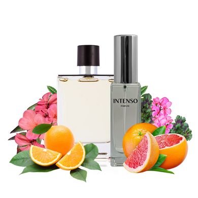 Парфуми Intenso Parfum TERRE Чоловічі 33ml