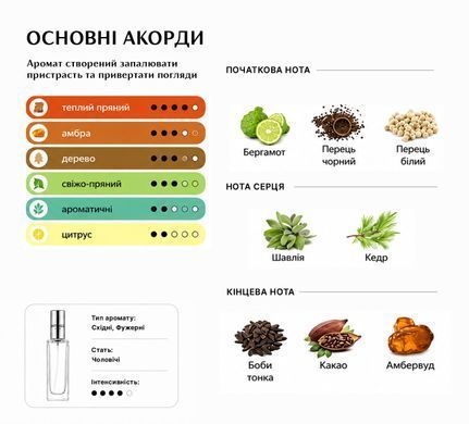 Парфуми Intenso Parfum BAD BOY Чоловічі 35ml
