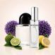 Духи Intenso Parfum GYPSY WATER Унисекс 35ml