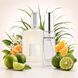 Духи Intenso Parfum GREY VETIVER Мужские 35ml