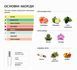 Масляні парфуми Intenso Oil IN2YOU Жіночі 10 ml