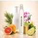 Масляні парфуми Intenso Oil IN2YOU Жіночі 10 ml