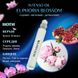 Масляні парфуми Intenso Oil EUPHORIA BLOSSOM Жіночі 10 ml