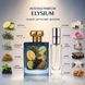 Духи Intenso Parfum ELYSIUM Мужские 35ml