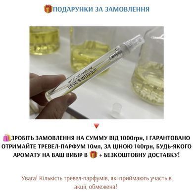 Автопарфюм Intenso Avto SANTAL 33