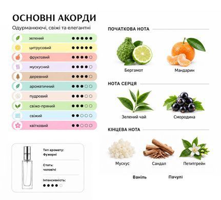 Духи Intenso Parfum SILVER MOUNTAIN Унисекс 35ml