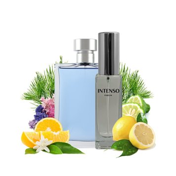 Духи Intenso Parfum V.POUR HOMME Мужские 35ml