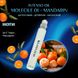 Масляні парфуми Intenso Oil MOLECILE 01 + MANDARIN Унісекс 10 ml