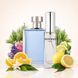 Духи Intenso Parfum V.POUR HOMME Мужские 35ml